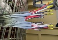 EC213550-7DF4-4D3E-9C0C-34F5ECD70461
